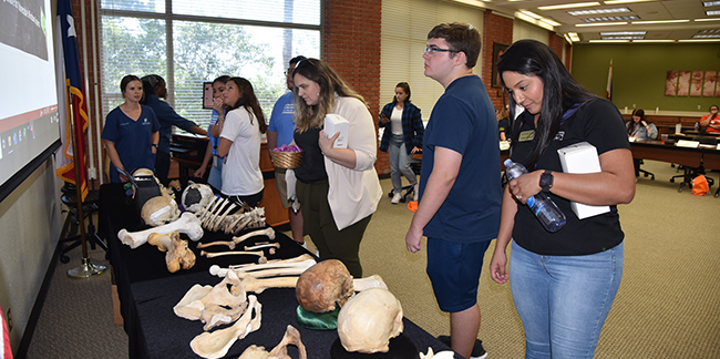 Summer camp students looking at collection of human bones