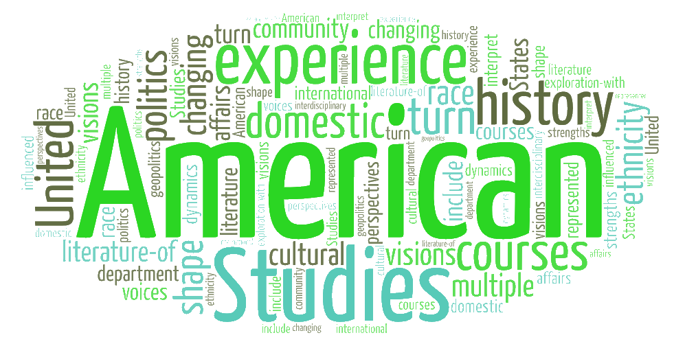 American Studies Word Art