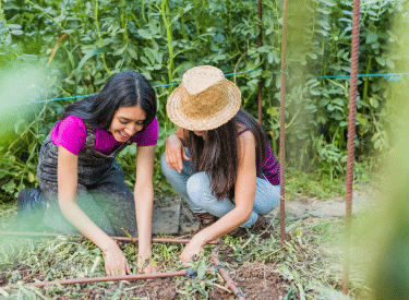 Human Geography, Crops, Agriculture