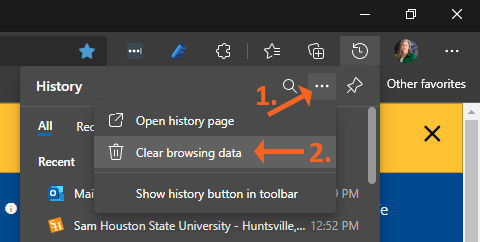 Edge History Options