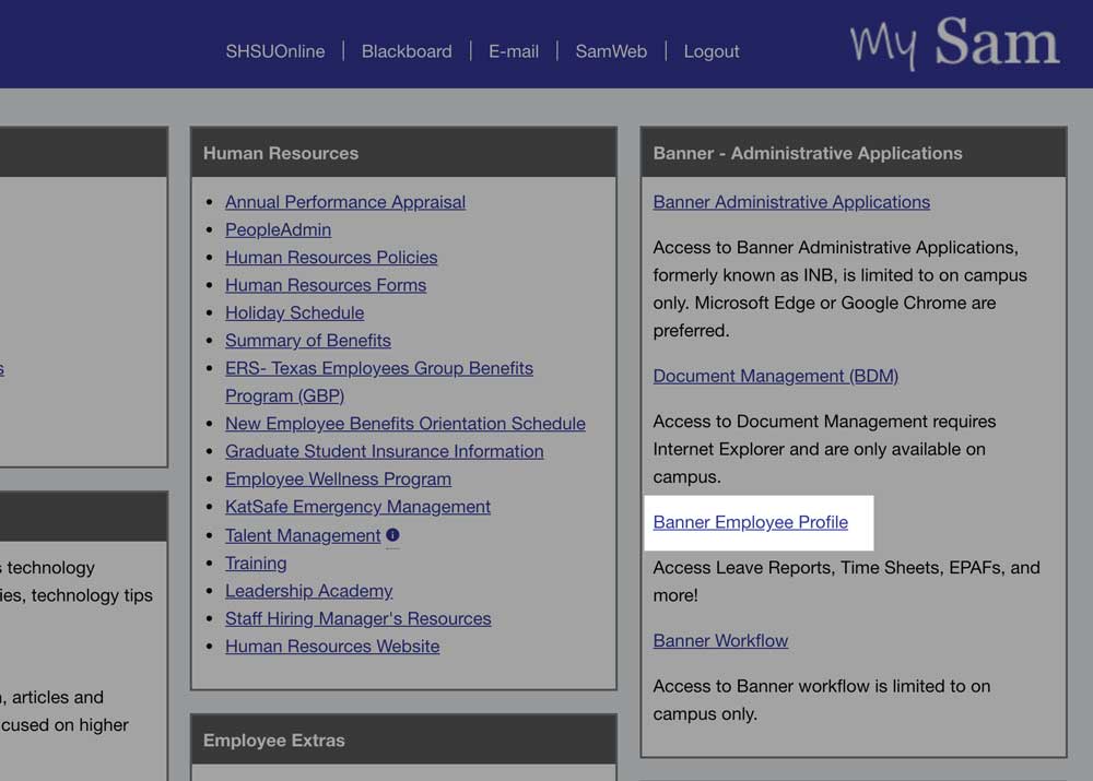 blue Banner Employee Profile link located under Banner - Administrative Applications