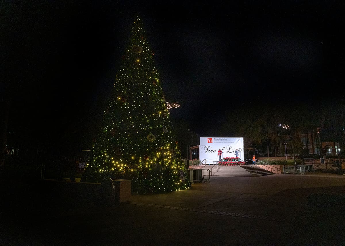 The Tree of Light being lit in total darkness.